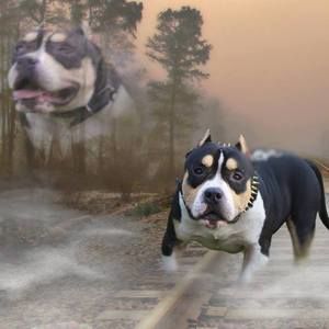 Meet your Posher, Lance